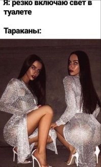 Фотоприколы и&nbsp;прикольные картинки