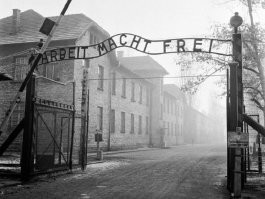 Это про первую категорию