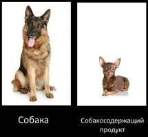 15 фотографий собак, впечатляющих своими размерами