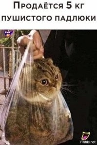 А потом на АВИТО такие объявления))