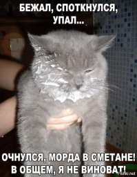 Дело о пропаже сметаны раскрыто