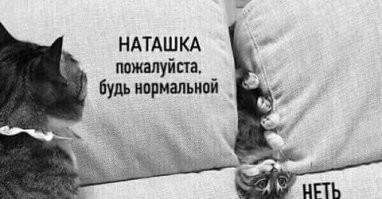 Скрины из соцсетей&nbsp;