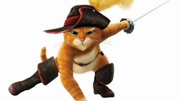 Кот не просто так навалял шавкам , а заступился за котейку, на блоках. Настоящий благородный герой.
