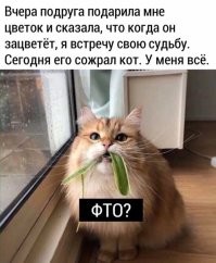 Фотоприколы и&nbsp;прикольные картинки