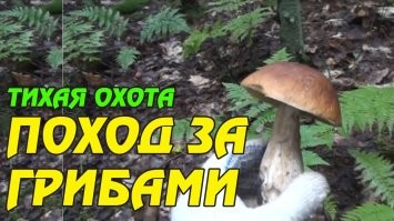 Теперь понимаю почему "охота"!:))