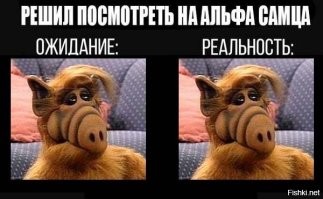 Завидные женихи, которые почти альфа-самцы