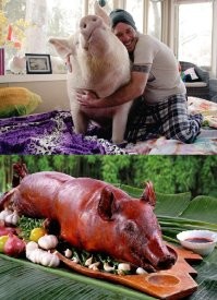 Откуда нам знать, что там происходит...