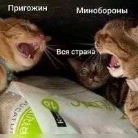 Извините, что не по теме, но Котик по середине тоже чёт ПРИАХ@ЕЛ...