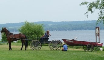 Да точно они. Вот похожая фотка