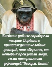 Насчёт обычных белых не знаю, но...)))