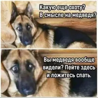 Пушистое удивление как оно есть