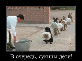 Фотоприколы и&nbsp;прикольные картинки