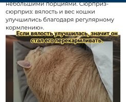 20 медиков рассказали о самых глупых пациентах в своей карьере
