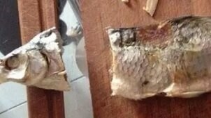 Какой идиёт так с воблой поступает!? Надо начинать с передних плавников, затем нежно отрываем голову, вынимаем внутренности кишки, пузырь, икру (если есть), ну и так далее. А он ножом хрясь.