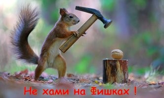 Йожика картинки