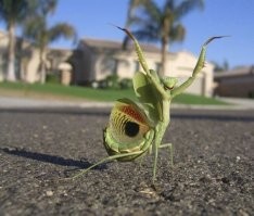 Здесь подошла бы подпись!

Трахнул и ушёл !!!!