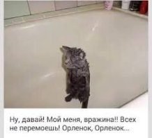 Йожика картинки Выпуск 360