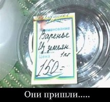 Фотоприколы и&nbsp;прикольные картинки