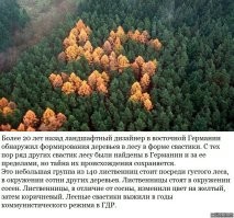 Ну, смайлик  далеко не первое изображение, которое люди изображали в виде посадки определённых пород насаждений.