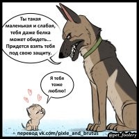 Пикси и Брут