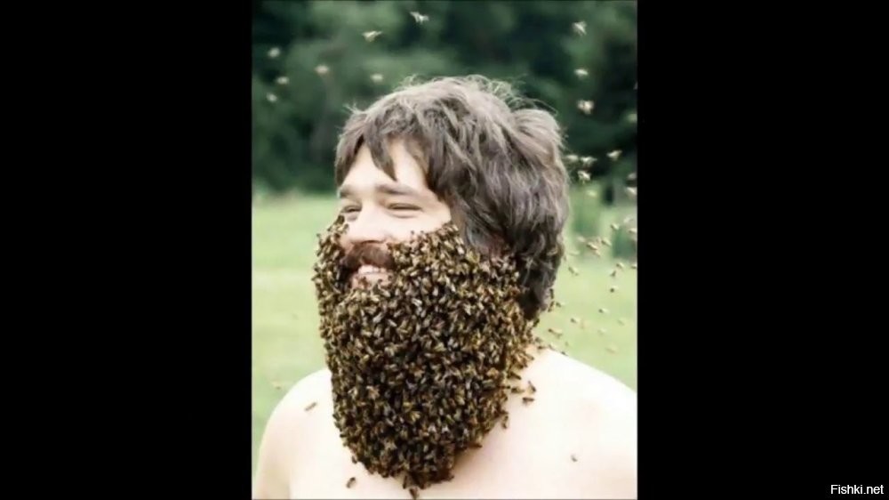 У Вас "пчеловода"???-сложности с фото-сегодня уже было...