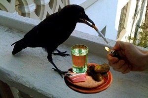 Щас еще сигаретку стрелять будут, а завтра жуткий сушняк.