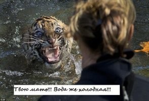 Йожика картинки Выпуск 360