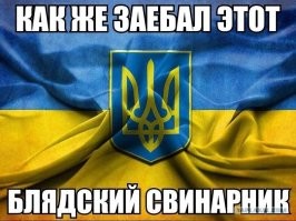 "Ведёте себя, как ошпаренные макаки": доктор Бородень отчитал украинцев, помешавших читать ему лекцию в Грузии