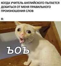 Комментарии и картинки из соцсетей. Свежак за 3 июля