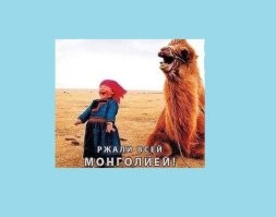 Владимир Путин отпустил шутку в адрес поскользнувшегося журналиста