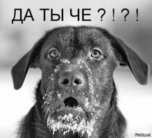 «Машины обретают самосознание и берут верх»: «железный Арни» заявил, что будущее из «Терминатора» уже наступило