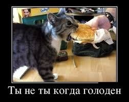 Покупатель растерял всю пиццу из-за ветра