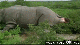 &nbsp;Скрины из соцсетей&nbsp;