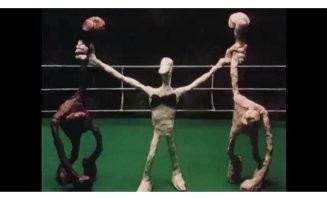 &nbsp;Скрины из соцсетей&nbsp;