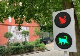 Кошачий светофор из Зеленоградска вовсе не зеленоградский. У нас таких зданий нет. И у нас котосветофор не работающий на улице, а декоративный около котофейни. Очень недолгое время несколько лет назад был и реальный дорожный с котами возле площади, но он очень ограничивал видимость световых сигналов и по просьбам водителей его убрали.  Вот на втором фото тот светофор.
 А муралов с котами у нас в горде побольше двадцати. Все разные, интересные.  На первом фото с реальным котосветофором виден один мурал с котом в стиле стимпанк. Один из первых котов на стене.))