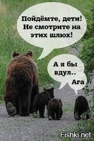 Волга вместо моря: наглядные доказательства того, что не нужен нам берег Турецкий