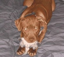 Тоже показалось: