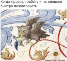 Мемы из "Страдающего Средневековья"