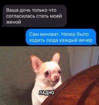 СМС и переписки, которые пробивают на ха-ха