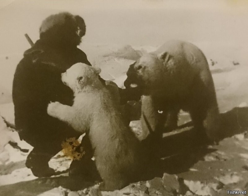 На Пикабу внук этого удивительного полярника рассказал о своём замечательном деде, который на фото. Там ещё были фотографии.