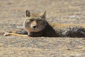 Что ты знаешь об усталости....