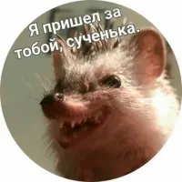 Ног пораставляют тут своих!))))