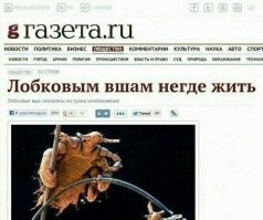 Заголовки из СМИ, которые покруче самих новостей