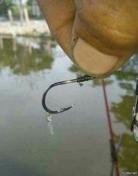 27 садоводов, которых ждал богатый урожай разочарования