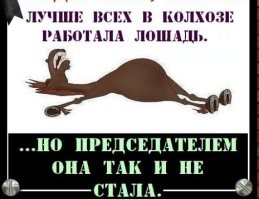 Работа убивает: японцы-трудоголики, которые не могут представить свою жизнь без работы