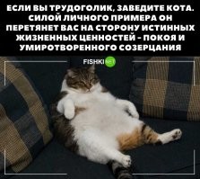 Работа убивает: японцы-трудоголики, которые не могут представить свою жизнь без работы