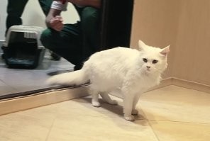 самое главное забыли