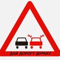 ДТП "с оленем" в Москве