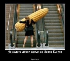 14 фото овощей и фруктов, которые попали в Книгу рекордов Гиннесса, как самые большие в мире
