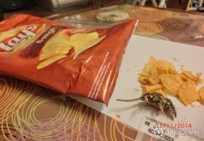 Сюрпризы в лотерее разные бывают и не обязательно приятные